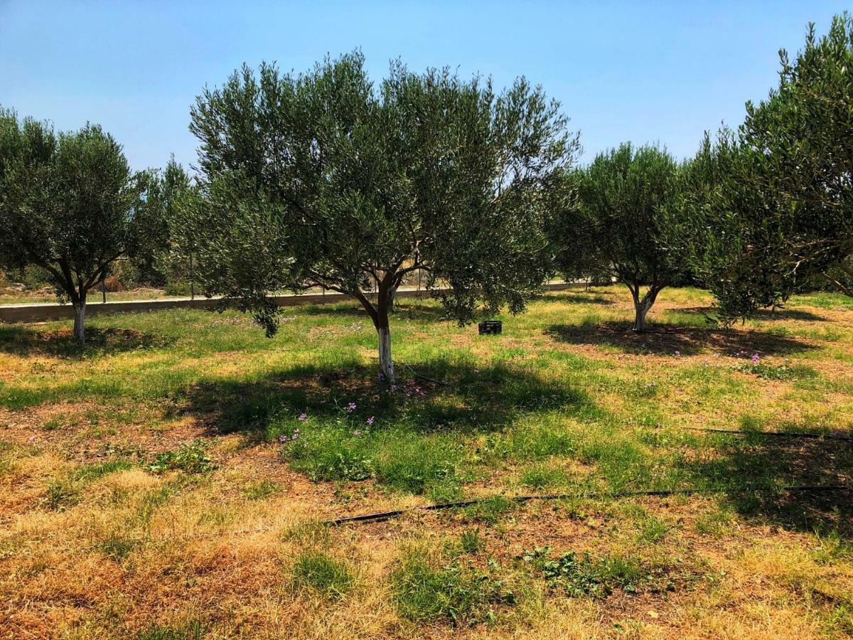 فيلا The Hillhouse Near Alexandroupolis المظهر الخارجي الصورة