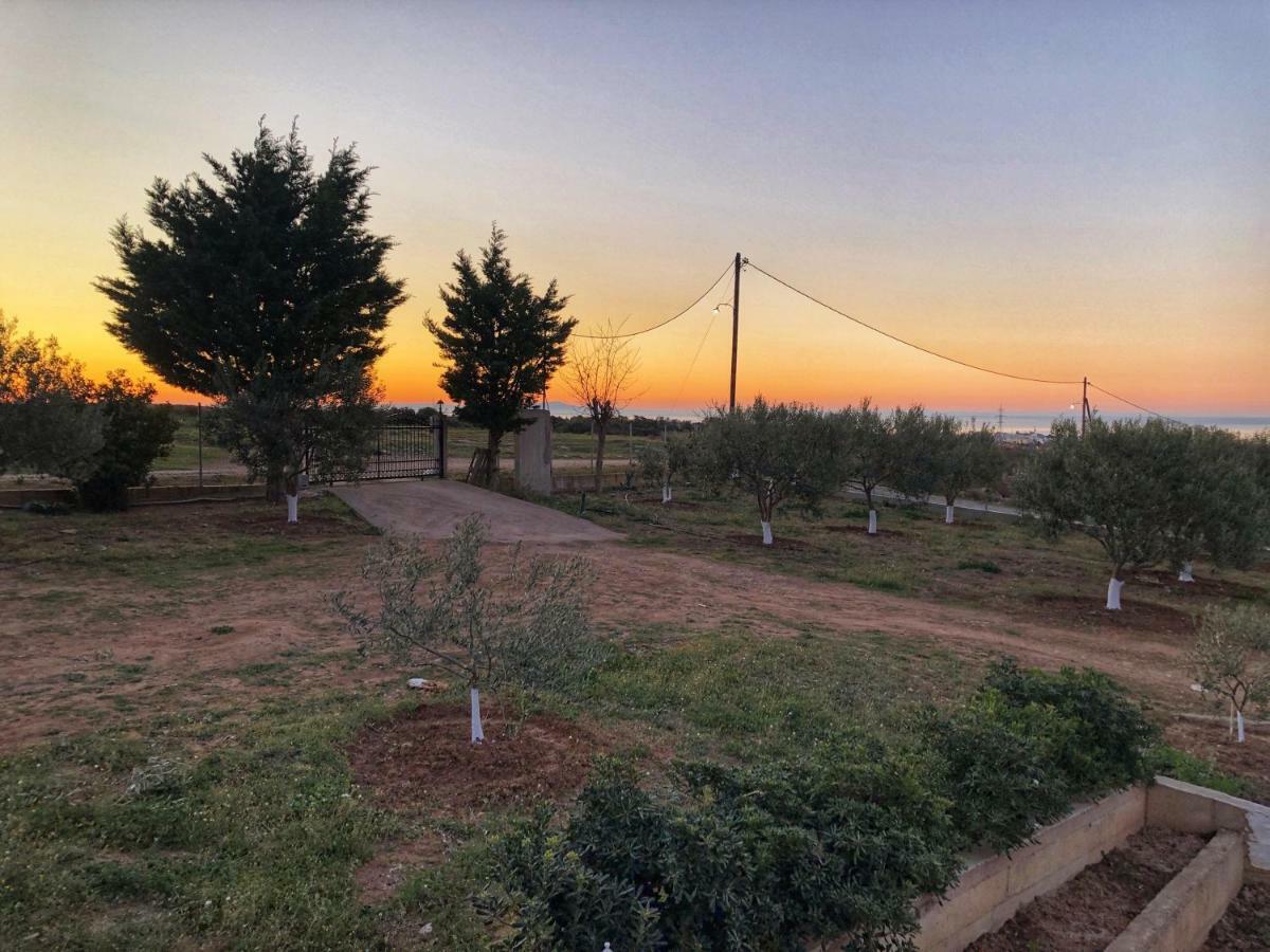 فيلا The Hillhouse Near Alexandroupolis المظهر الخارجي الصورة