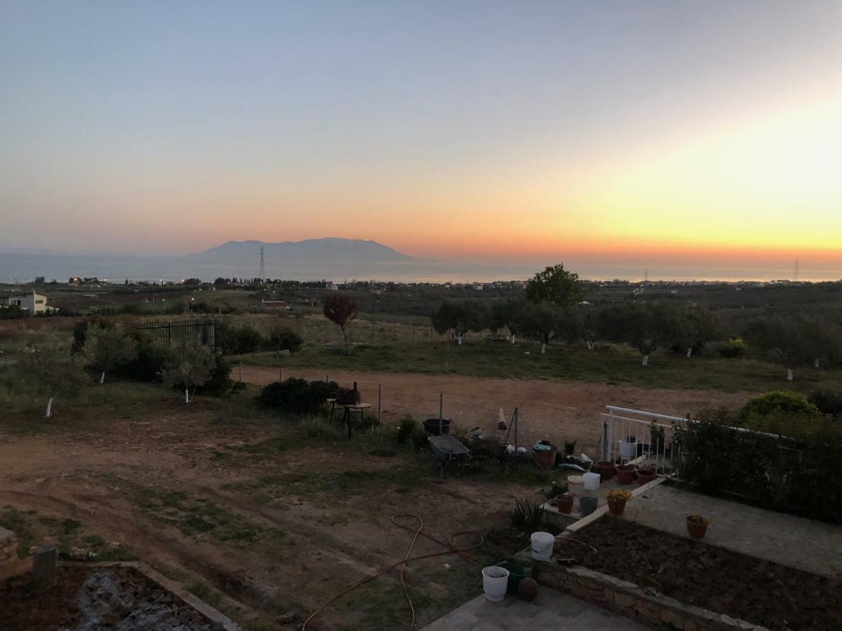 فيلا The Hillhouse Near Alexandroupolis المظهر الخارجي الصورة